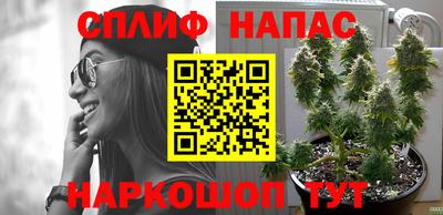 стафф Анжеро-Судженск