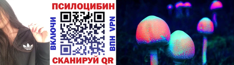 Галлюциногенные грибы GOLDEN TEACHER  Новокузнецк 