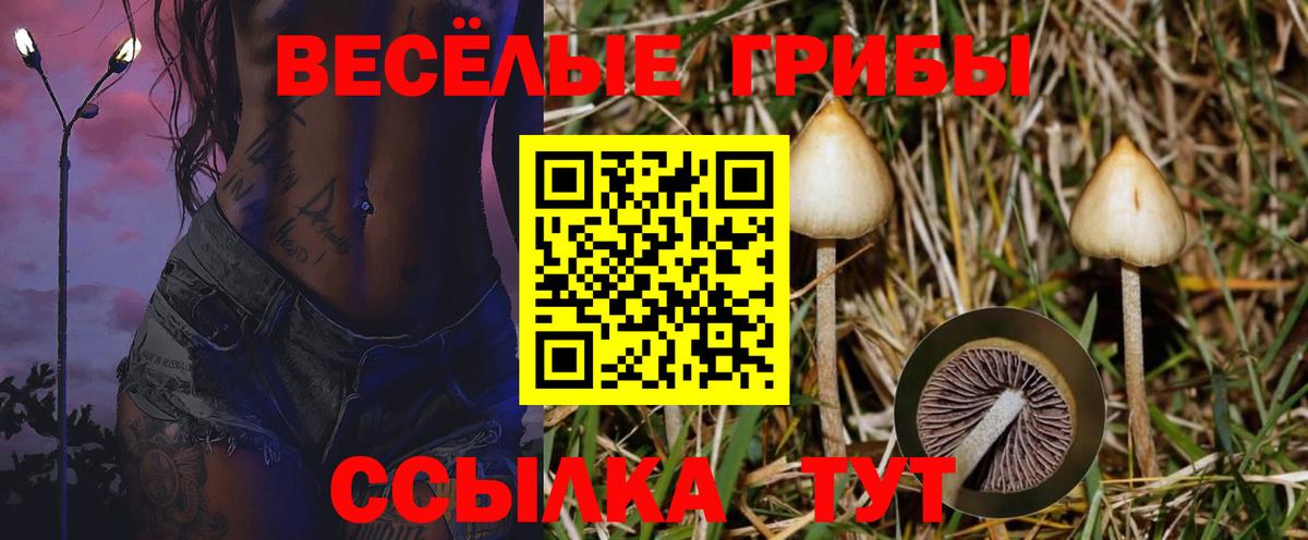 Галлюциногенные грибы Magic Shrooms  Вход с VPN  Новокузнецк 